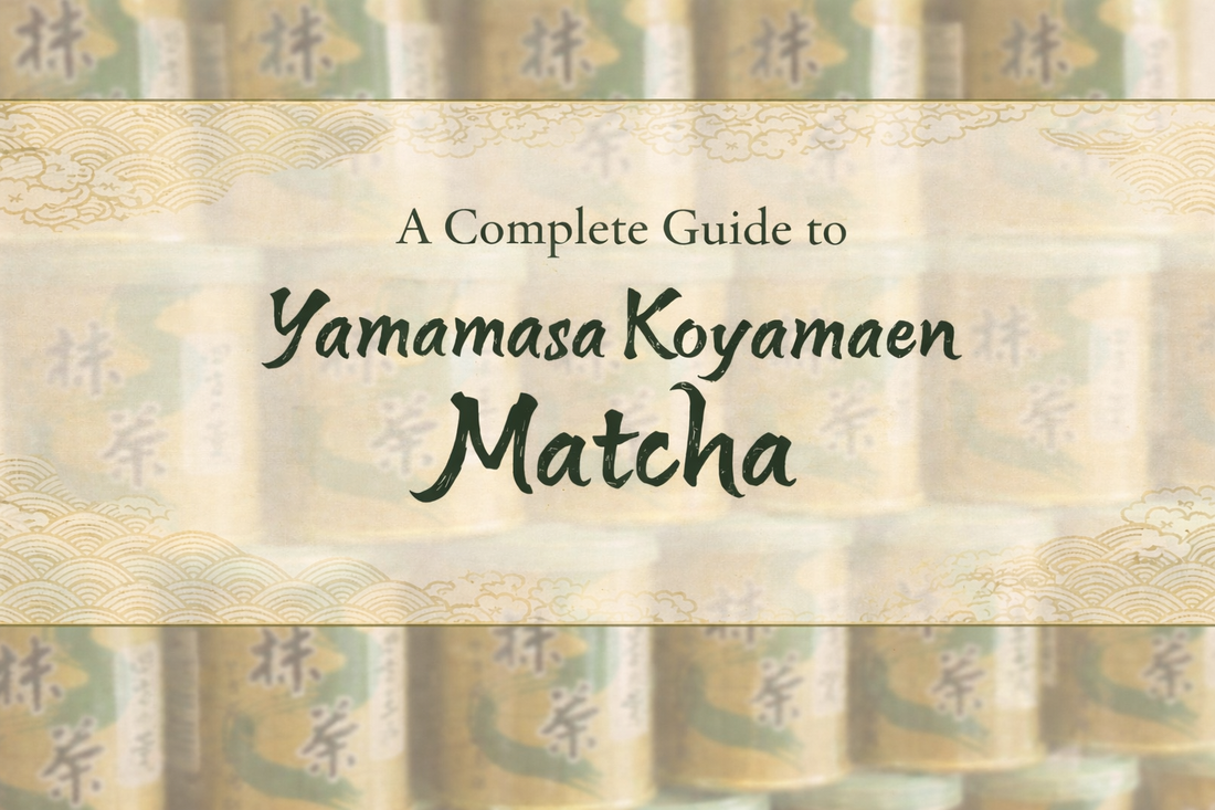 A Complete Guide to Yamamasa Koyamaen Matcha