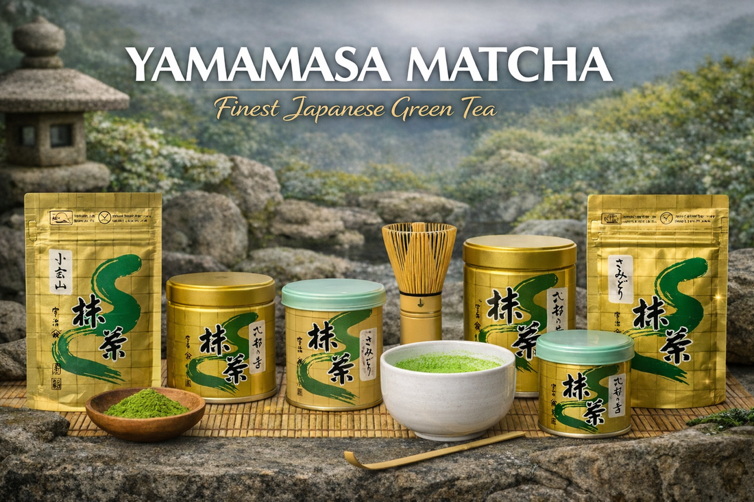 Complete Guide to Yamamasa Matcha: A Deep Dive Into Premium Japanese Green Tea