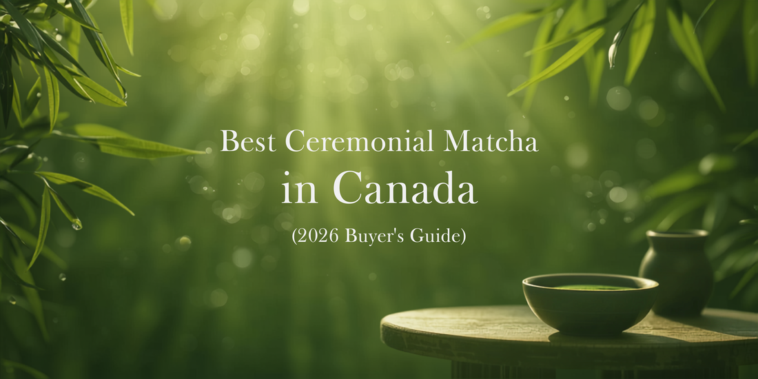 Best Ceremonial Matcha in Canada (2026 Buyer's Guide)