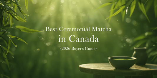Best Ceremonial Matcha in Canada (2026 Buyer's Guide)