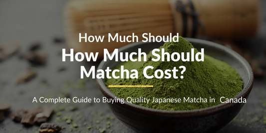 How Much Should Matcha Cost? A Complete Guide to Buying Quality Japanese Matcha in Canada