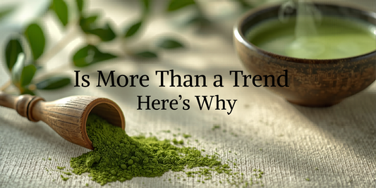 Matcha Is More Than a Trend — Here’s Why