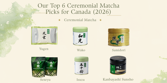 Our Top 6 Ceremonial Matcha Picks for Canada (2026)