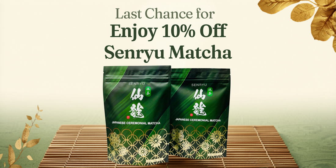Last Chance to Enjoy 10% Off Senryu Matcha