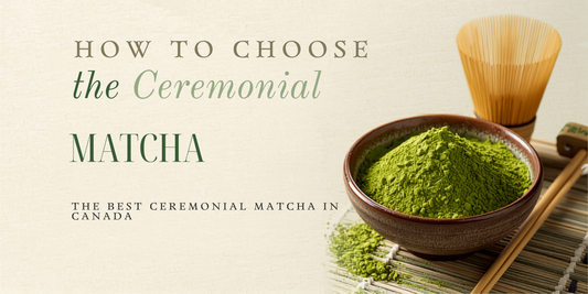 How to Choose the Best Ceremonial Matcha in Canada