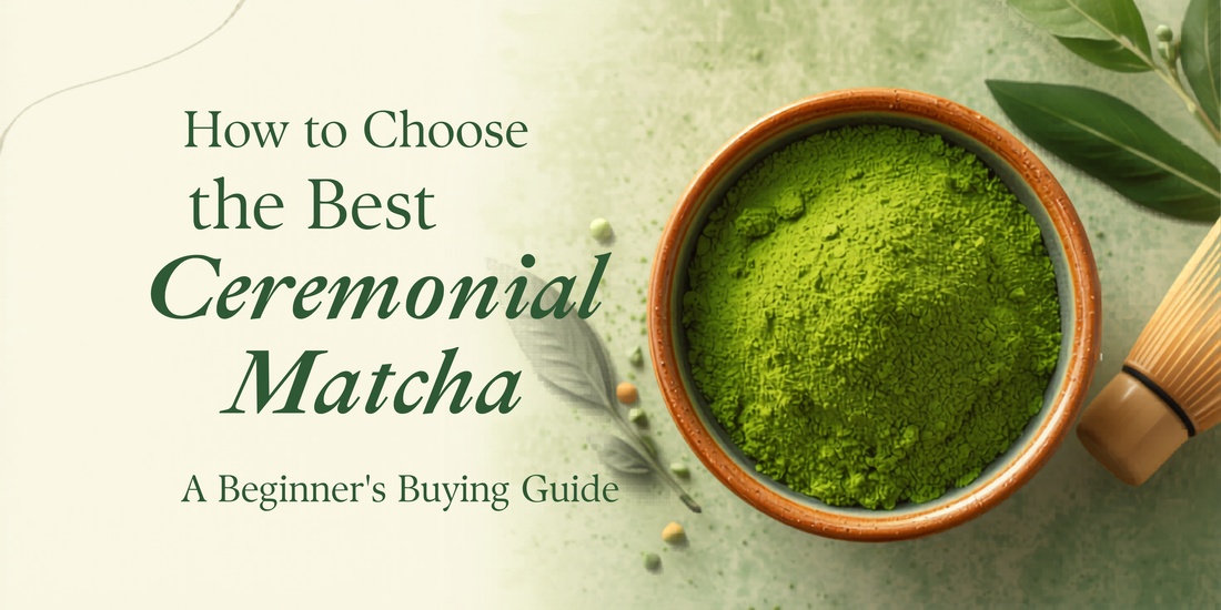 How to Choose the Best Ceremonial Matcha: A Beginner’s Buying Guide