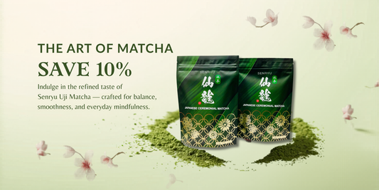 Senryu Matcha by Kisshomori – Enjoy an Exclusive 10% Discount