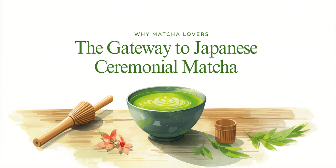 Why Matcha Lovers Are Obsessed with Japanese Ceremonial Matcha