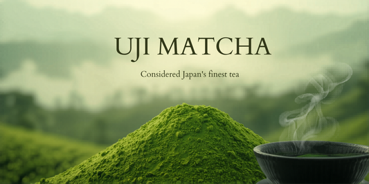Why Uji Matcha Is Considered Japan’s Finest Green Tea