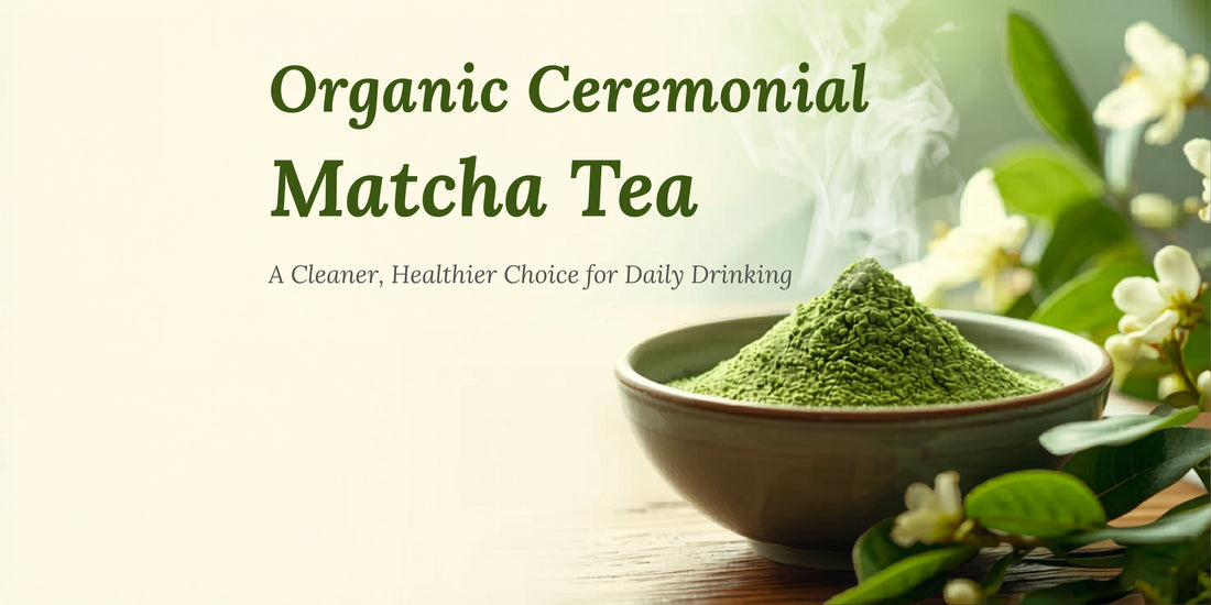 Organic Ceremonial Matcha Tea: A Cleaner, Healthier Choice for Daily Drinking