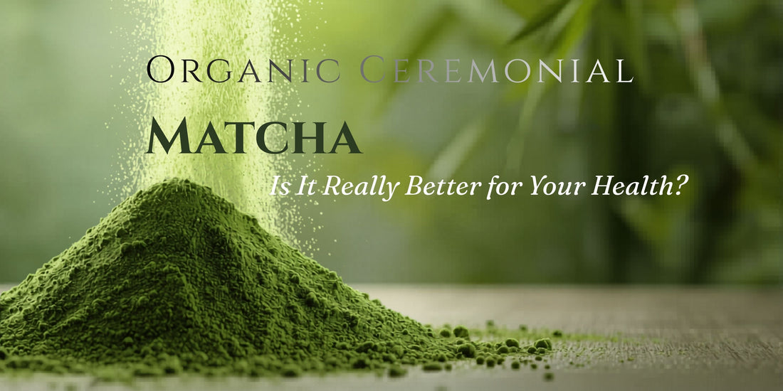 Organic Ceremonial Matcha: Is It Really Better for Your Health?
