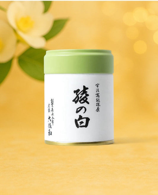 Marukyu Koyamaen Aya no Shiro 40g (Limited Version) | Kisshomori